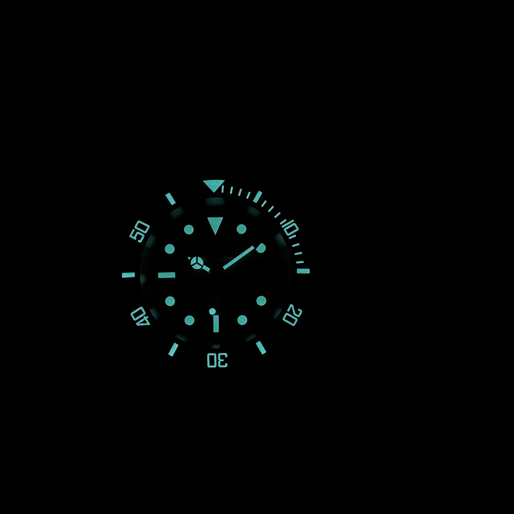 Steeldive novo relógio sd1953c - Seiko Watch Prospex avaliação e preço